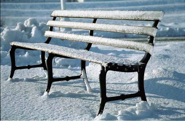 WinterBench