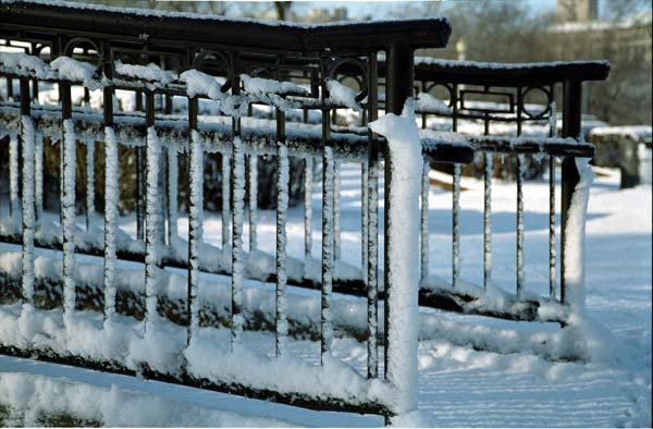 WinterRail