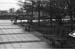 OlivePark2