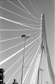 02Rotterdam38160-03