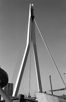 02Rotterdam38160-09c