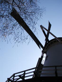 05Rotterdam0982