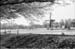 05Rotterdam38162-25