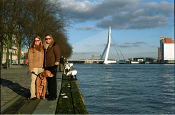 Rotterdam03