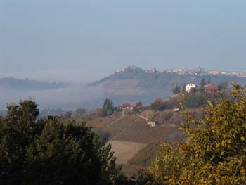 Barolo243