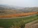 Barolo233