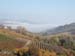 Barolo248