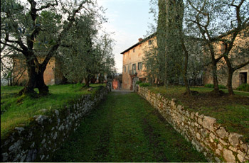 6Montestigliano19
