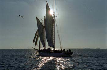 Key West '04