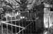Cemetery04