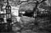 Cemetery05
