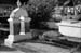 Cemetery07