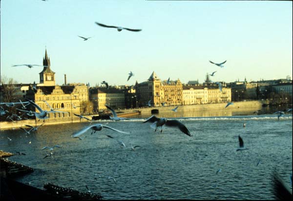Prague88s-05