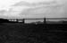 GoldenGate1