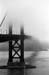 GoldenGate4