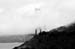 GoldenGate5