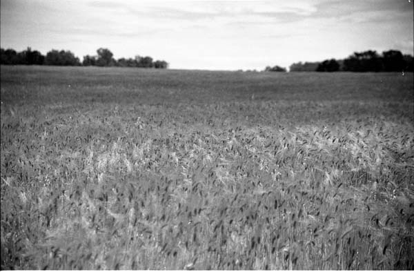DoorCoField